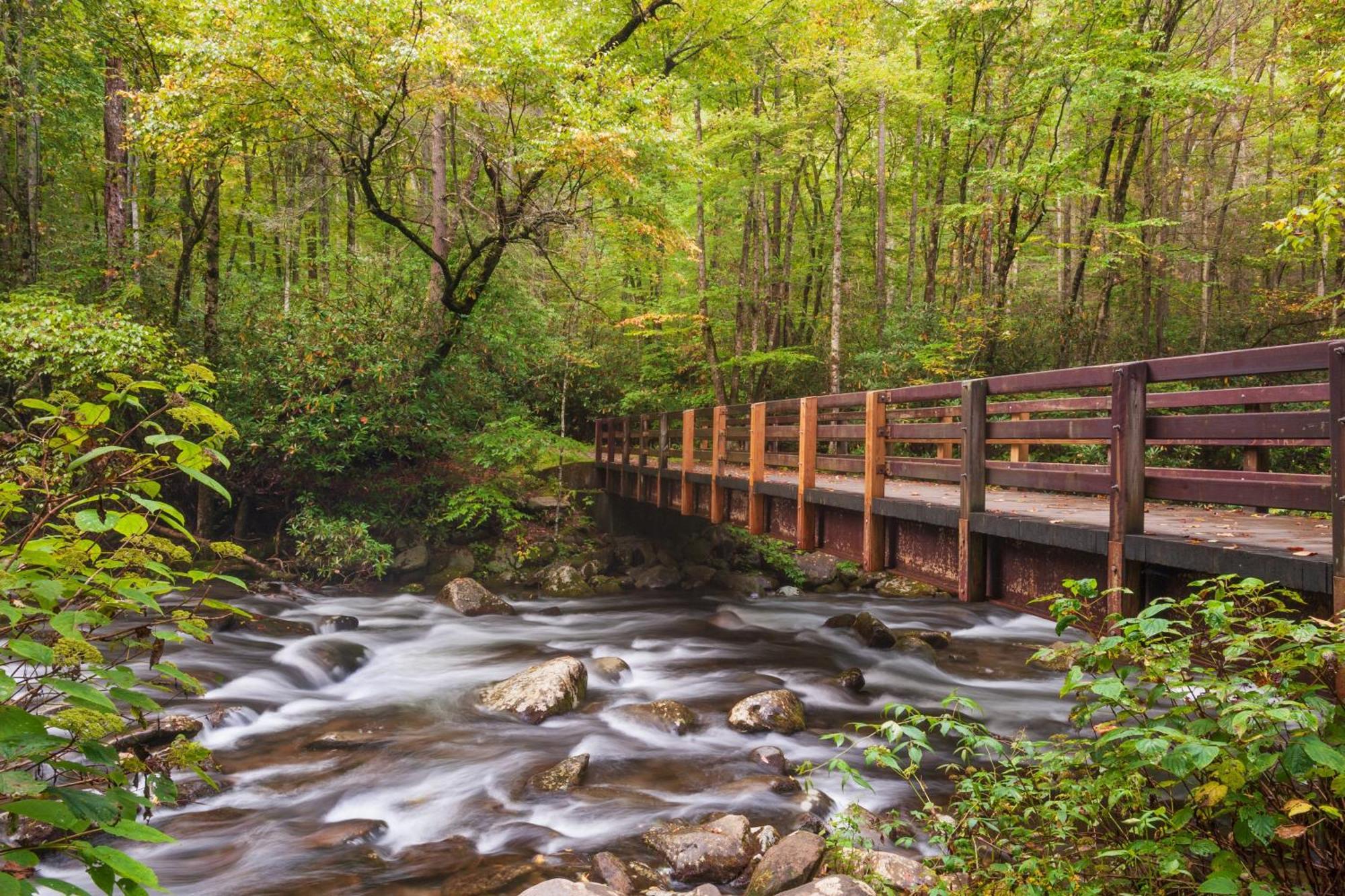 The Nut House, Hot Tub, Game Room, Wifi, 1089 Free Tickets Each Paid Day, Dollywood And More! Pigeon Forge Eksteriør bilde